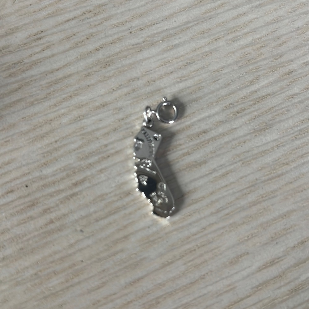 Disney California State Silver Cubic Zirconia pendant